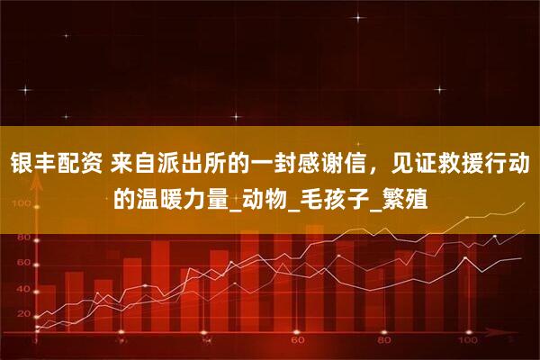银丰配资 来自派出所的一封感谢信，见证救援行动的温暖力量_动物_毛孩子_繁殖